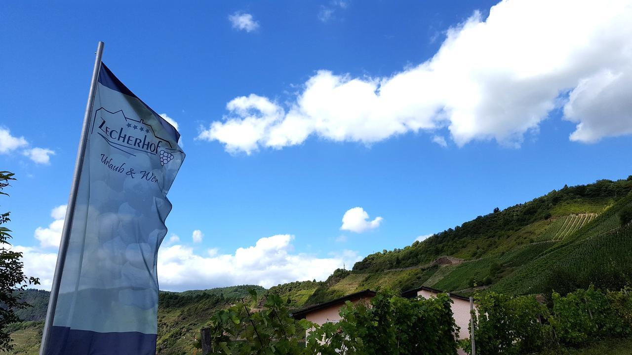Urlaubsweingut Zecherhof Neef Luaran gambar